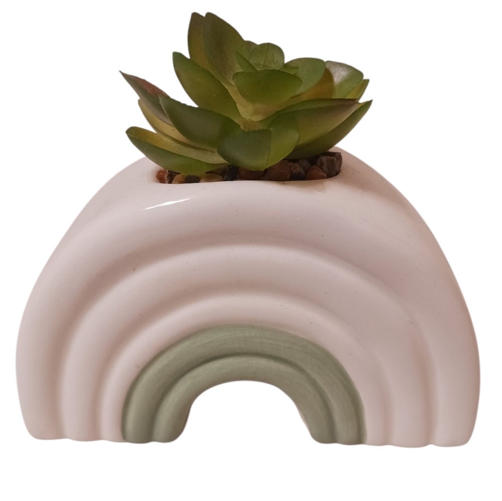 NEW WHITE & OLIVE GREEN SMALL RAINBOW SUCCULENT PLANT DECOR 💚
